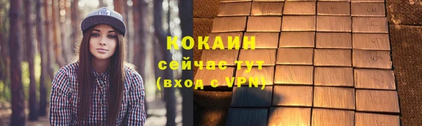 трава Бородино