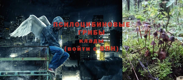 трава Бородино