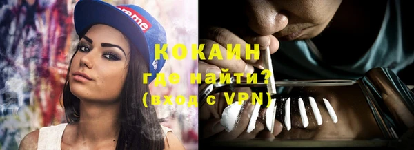 трава Бородино