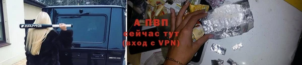 трава Бородино