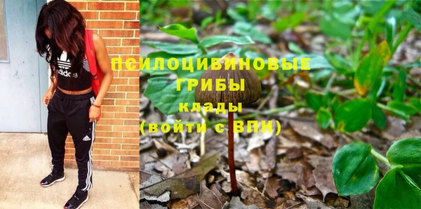 трава Бородино
