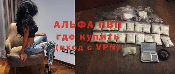 трава Бородино