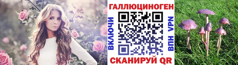 как найти   Киреевск  кракен сайт  Галлюциногенные грибы мухоморы 